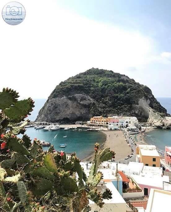 Villa Paradiso Sant'Angelo  Ngoại thất bức ảnh