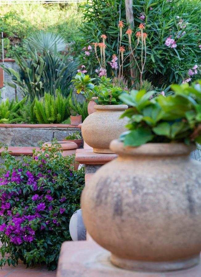 Villa Paradiso Sant'Angelo  Ngoại thất bức ảnh
