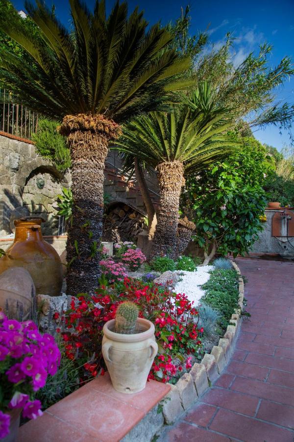 Villa Paradiso Sant'Angelo  Ngoại thất bức ảnh